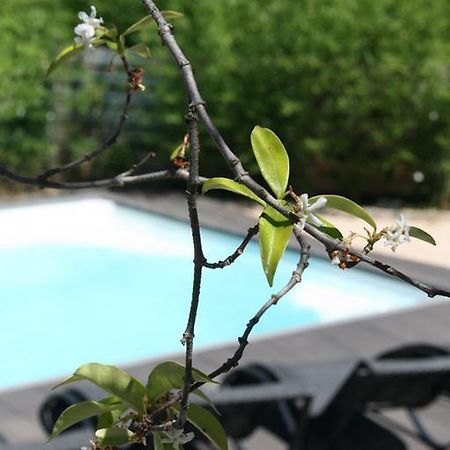 Bed and Breakfast Les Centaurines Saint-Siffret Exterior foto