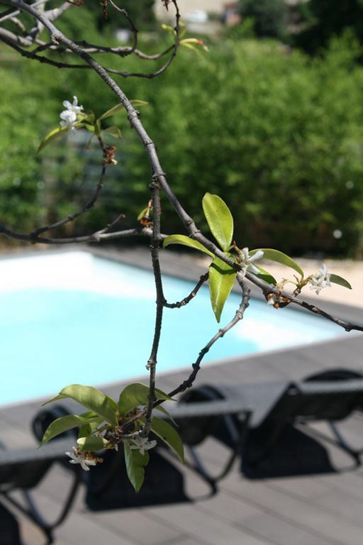 Bed and Breakfast Les Centaurines Saint-Siffret Exterior foto